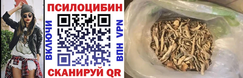 KRAKEN зеркало  Орехово-Зуево  Галлюциногенные грибы GOLDEN TEACHER 